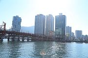 對岸的影島