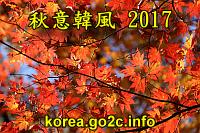 秋意韓風 2017：韓國京畿道、江原道、首爾五天之旅