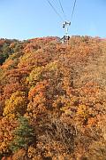 八公山索道上的秋色