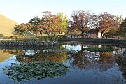 大陵園/大陵苑