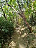 登山步道