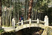 雙磎寺