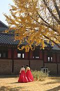 景福宮的秋色
